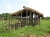 zero-grazing-shed-for-cows
